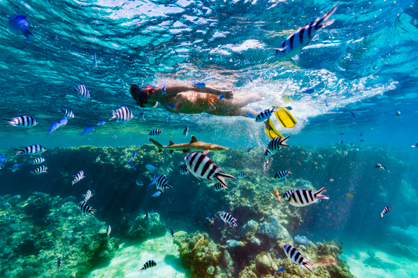 Fiji snorkeling tour discount