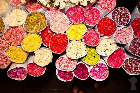 Bangkok food and market tours discount