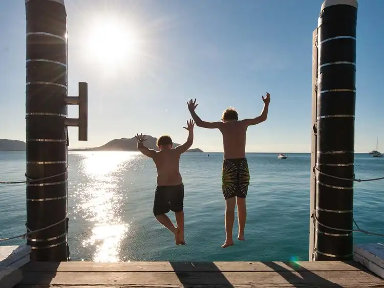 Day at Fitzroy Island | Ferry Transfers Only