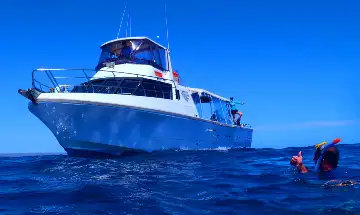 Ningaloo Reef Double Dive Tour | Departing Exmouth