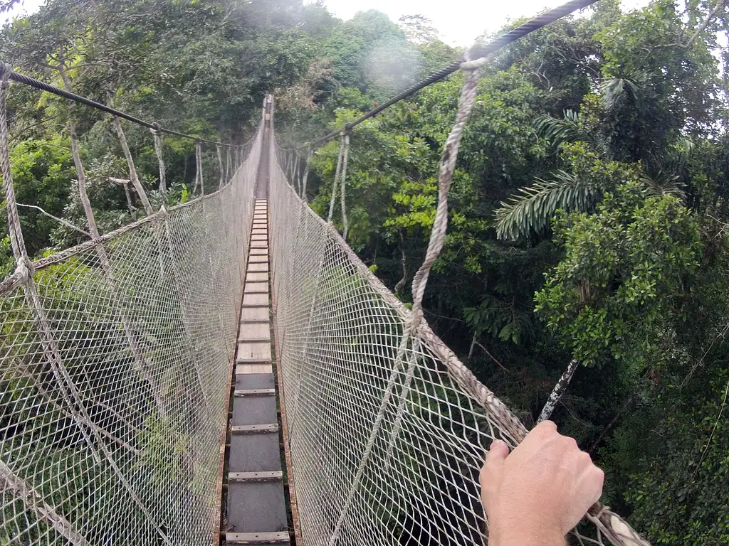 2 Day Jungle Adventure and Amazon Tour - Iquitos, Peru