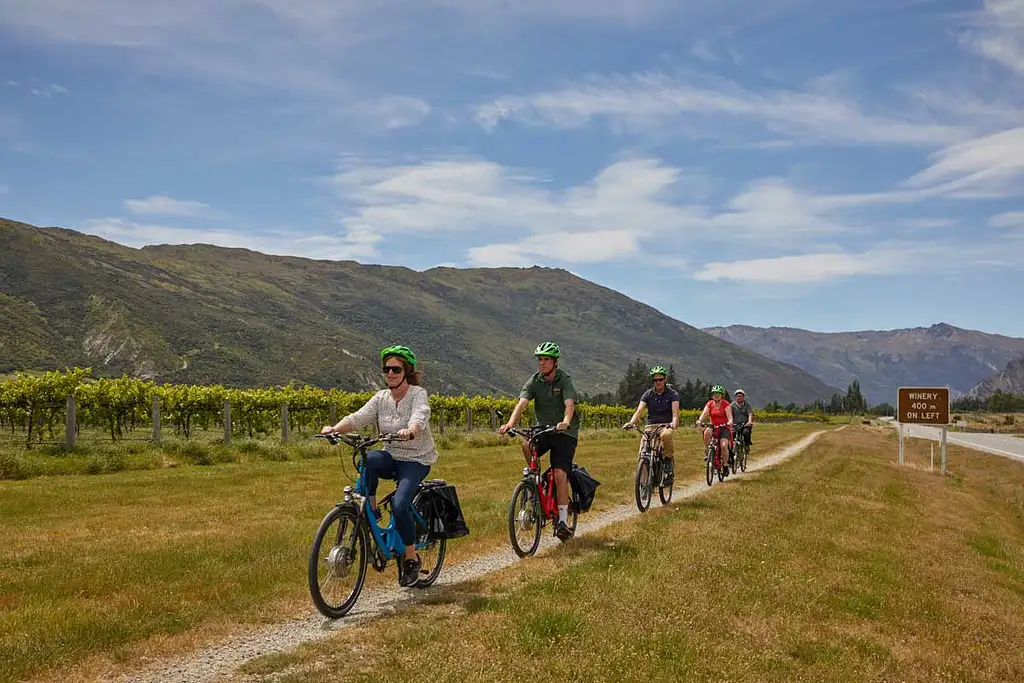 Guided Winery Tour by E-Bike | From Queenstown