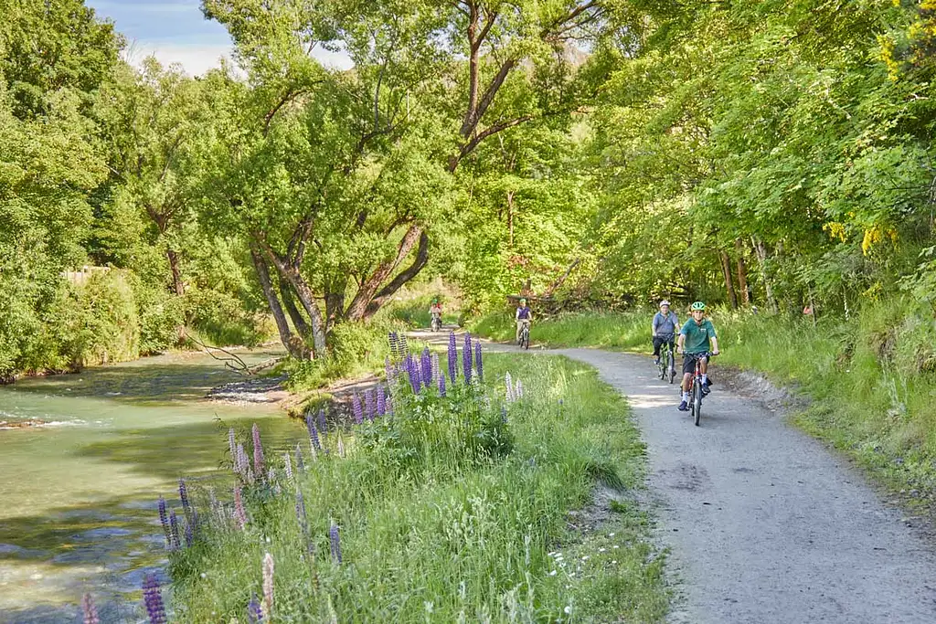 Guided Winery Tour by E-Bike | From Queenstown