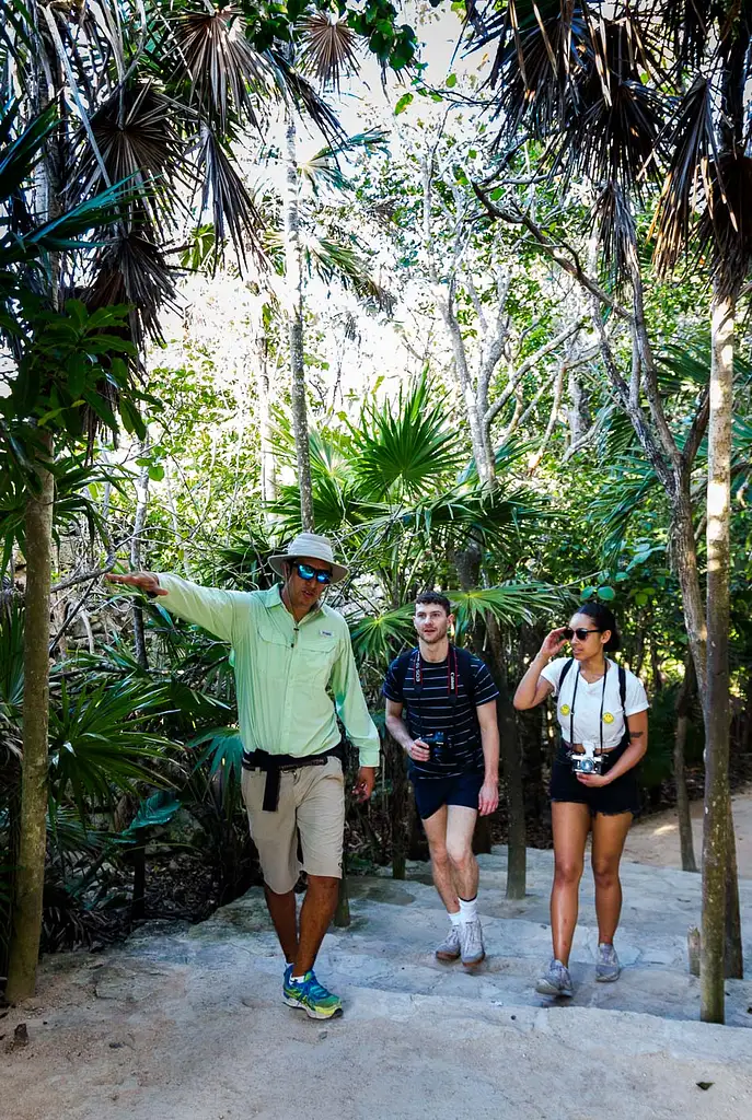 Tulum Jungle Adventure