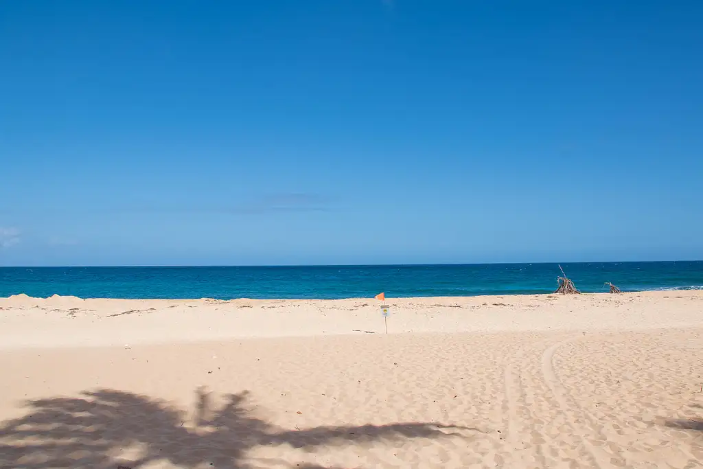 Oahu Sightseeing And Snorkel Tour