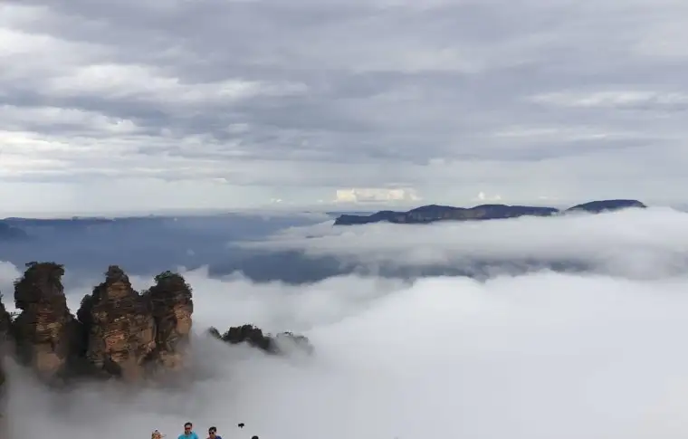 Blue Mountains Small Group Wildlife Tour