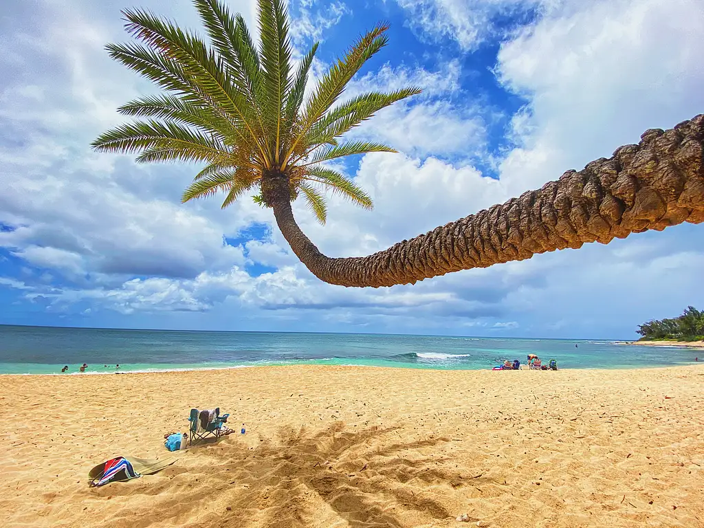 Diamond Head Hiking and Oahu Island Experience feat. North Shore