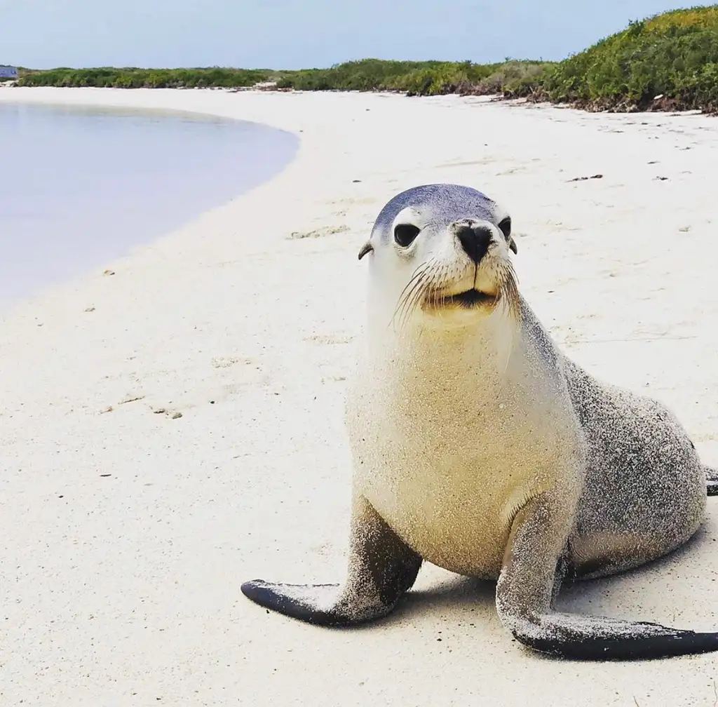 Abrolhos Islands Fast Ferry All-Day Adventure Tour