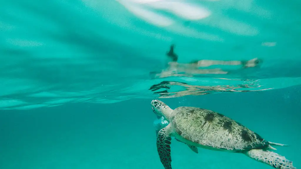 10 Day Philippines West Classic Manila to El Nido | One Life Adventures