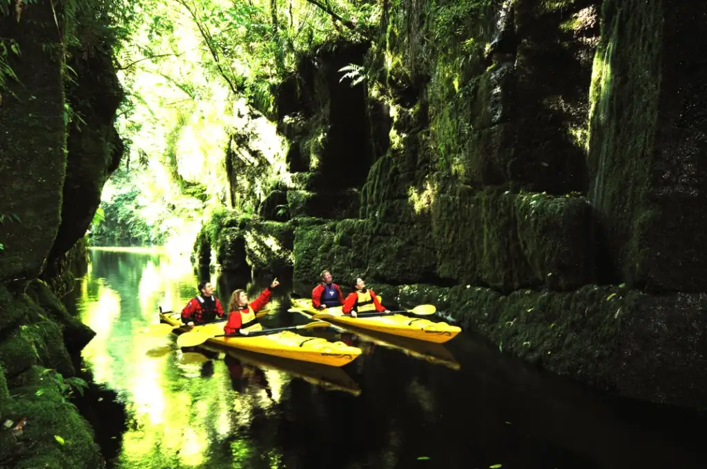 Scenic Lake Mclaren Kayak Tour