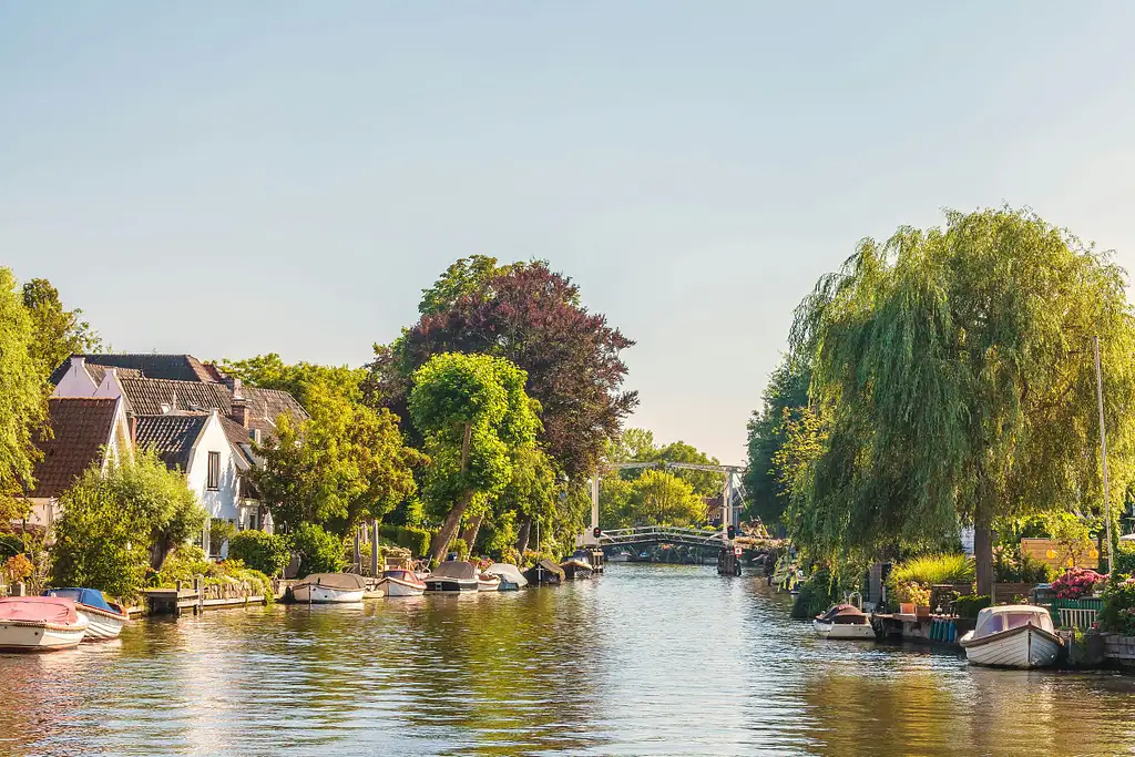 Afternoon high tea cruise on Vecht River from Amsterdam - Group of 2 people (price per group)