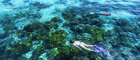 Cairns