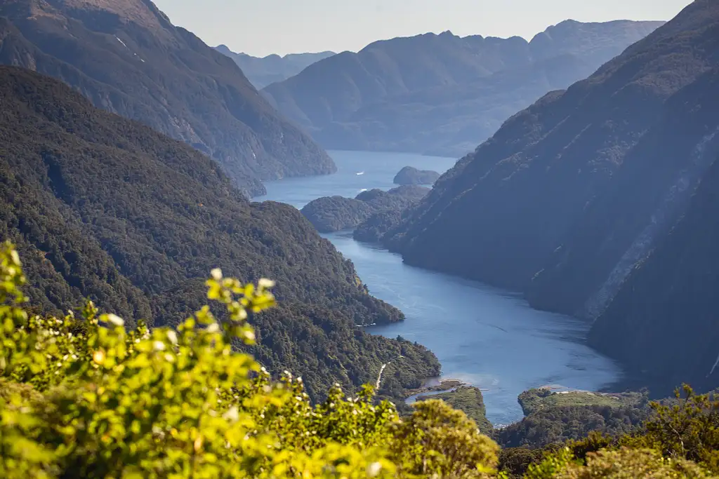 Doubtful Sound Overnight Cruise and Coach | From Queenstown