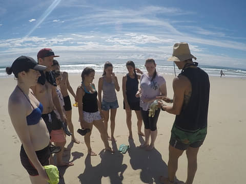 Gold Coast kayaking Tours