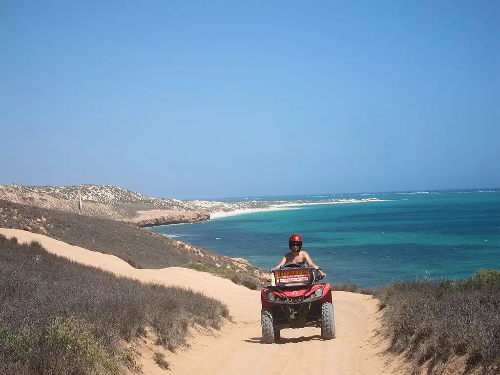 Turtle Adventure & Snorkel Trek | Snorkel & ATV