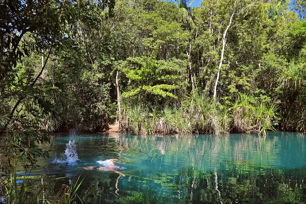 Spectacular Jumping Crocodile River Cruise & Berry Springs Nature Park, Freshwater Swimming Hole | Darwin