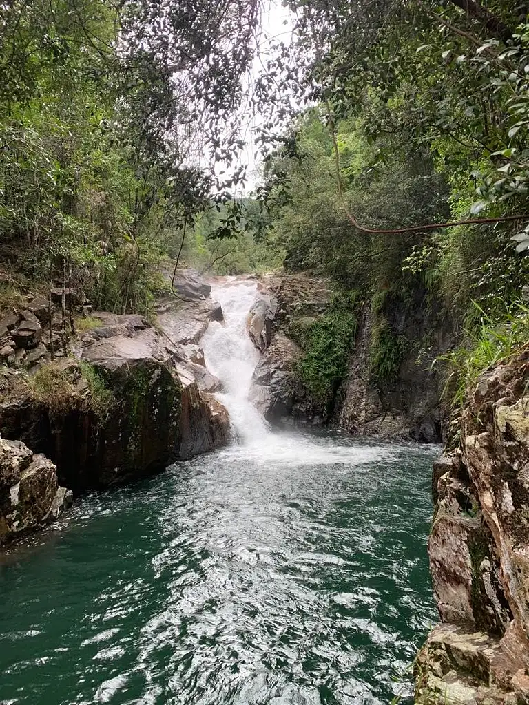 Platypus Paradise Tour | Day Tour from Mackay