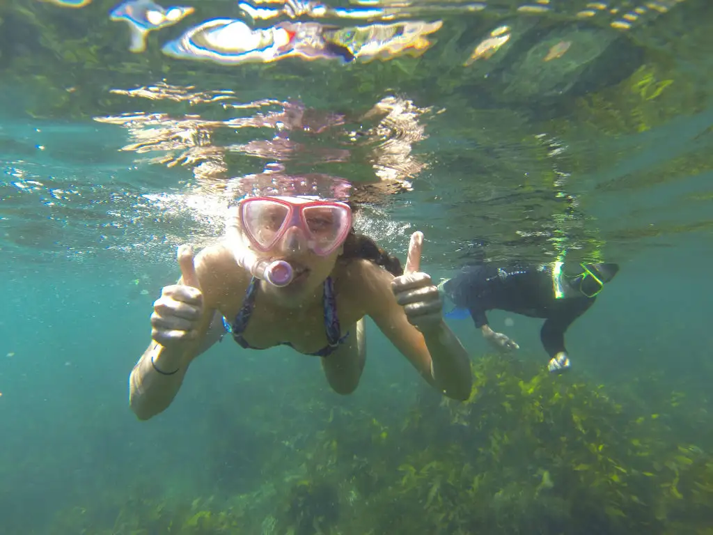 Manly Snorkel and Headland Walk Eco Tour