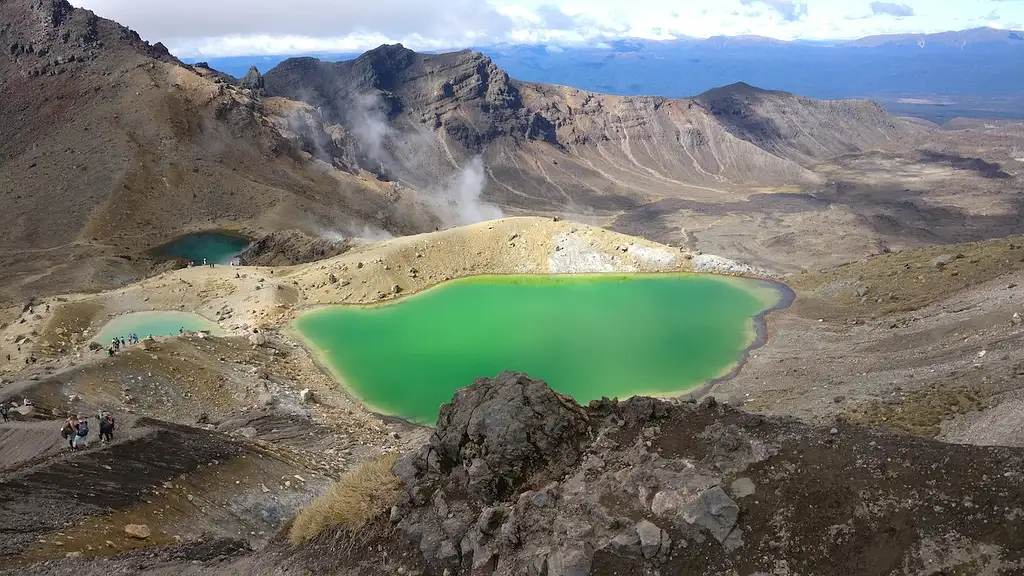 8 Day Pukeko Tour | Auckland to Wellington | Stray