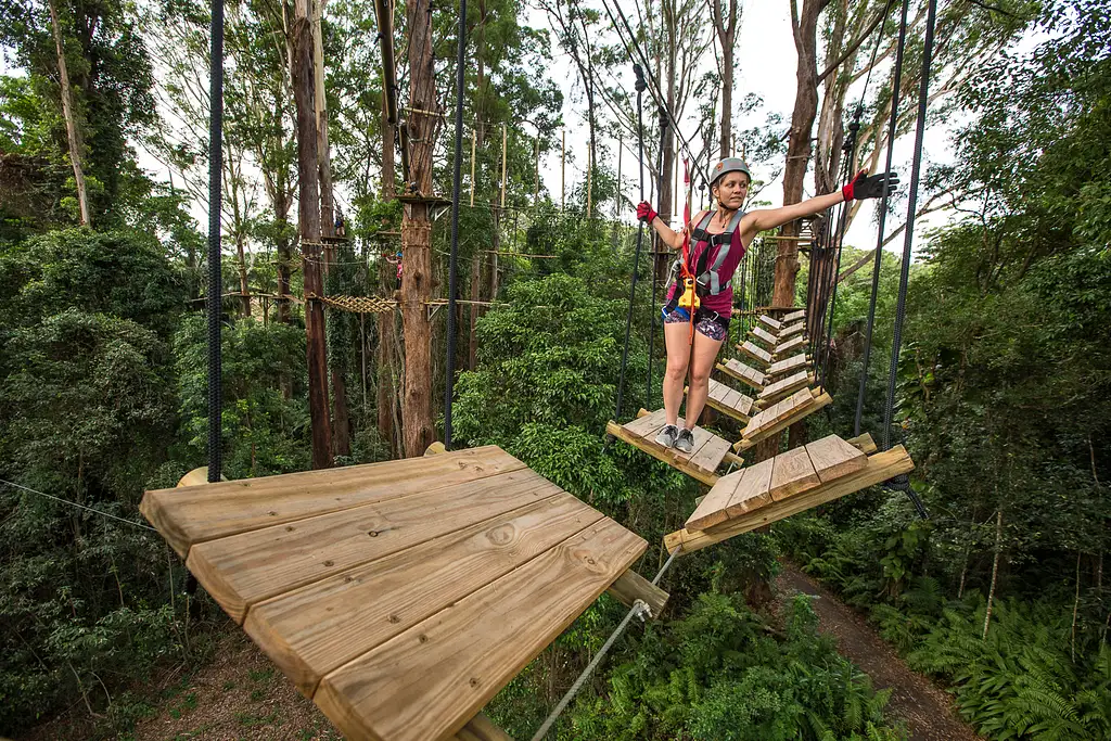 Treetop Challenge Sunshine Coast (Big Pineapple)