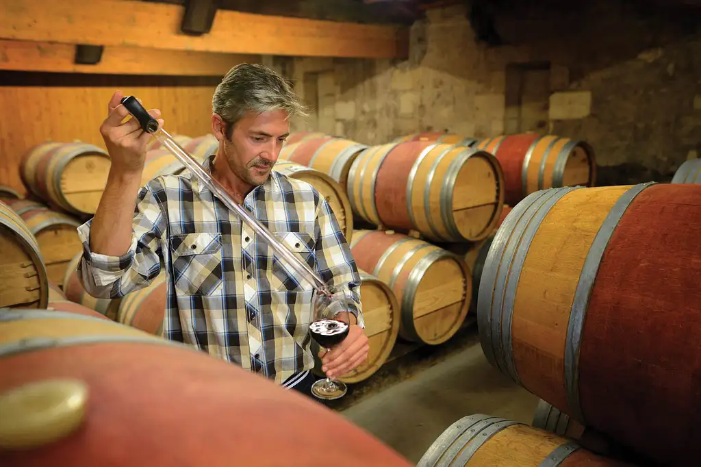 Food and Wine Lovers Full Day Tour