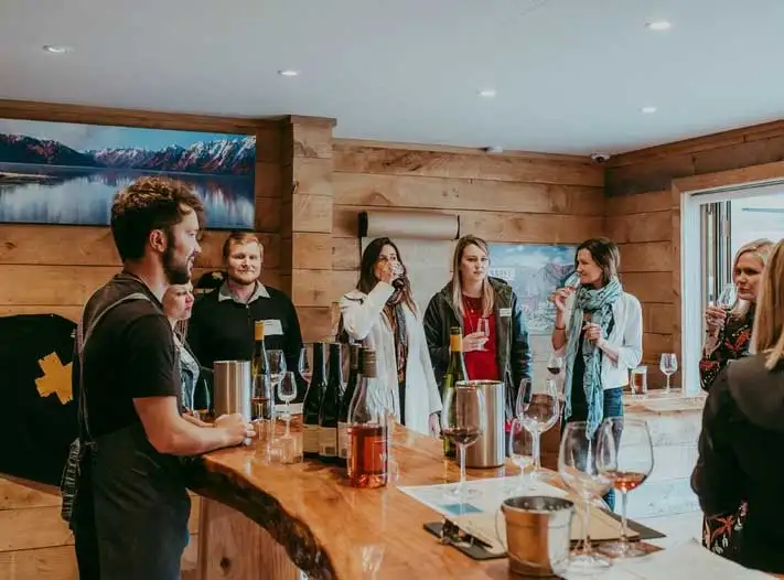 Guided Winery Tour by E-Bike | From Queenstown