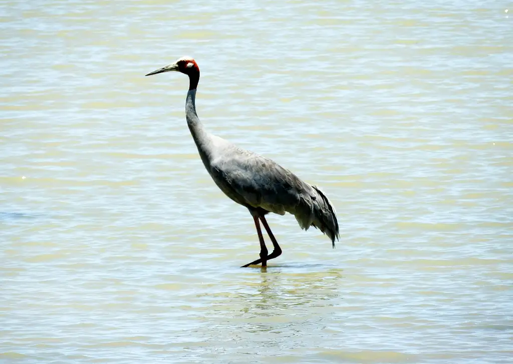 11 Day Cairns to Darwin - Small Group Camping Tour