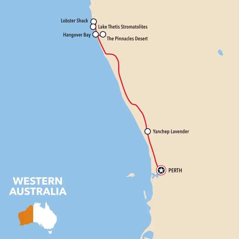 Pinnacles, Lavender Farm & Lobster Shack Tour | Perth