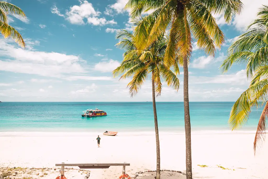Wild Cat Mackay All-inclusive Snorkel & Islands Day Tour