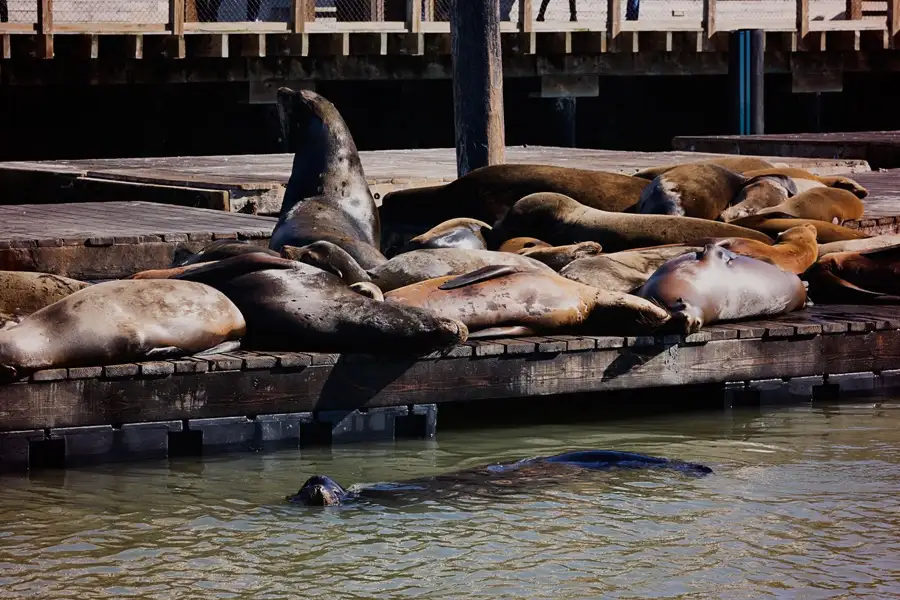 San Francisco Small Group City Tour with Bay Voyager Cruise
