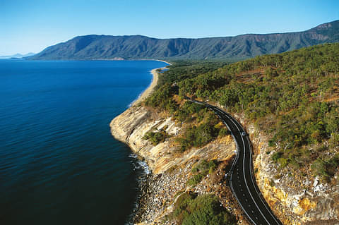 Cape Tribulation and Daintree Tour Discount