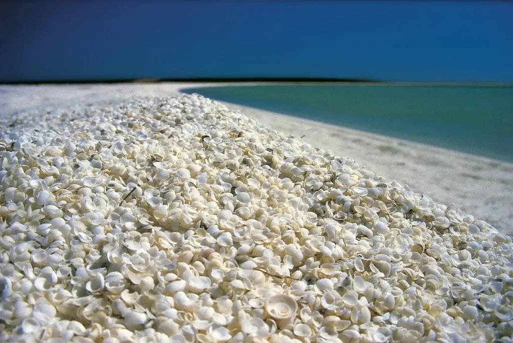 11 Day Perth to Broome West Coast - Small Group Camping Tour