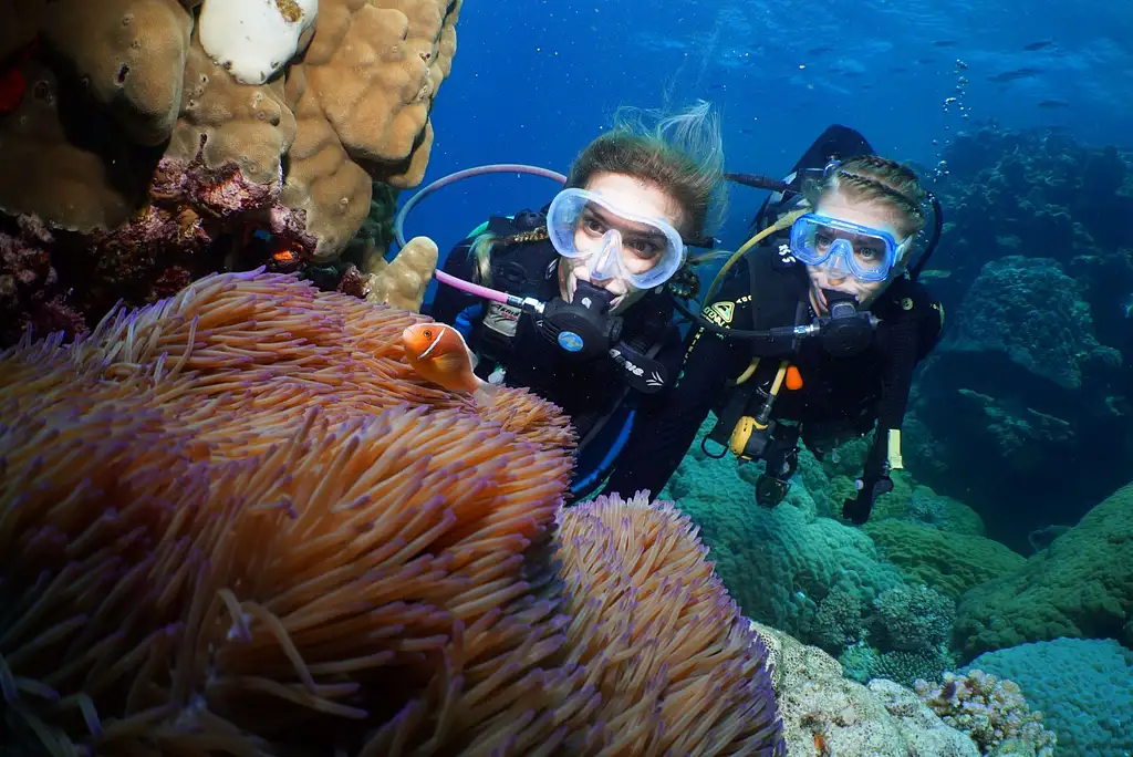 Poseidon Outer Reef Snorkel | Intro Dive | Cert Dive  - Port Douglas