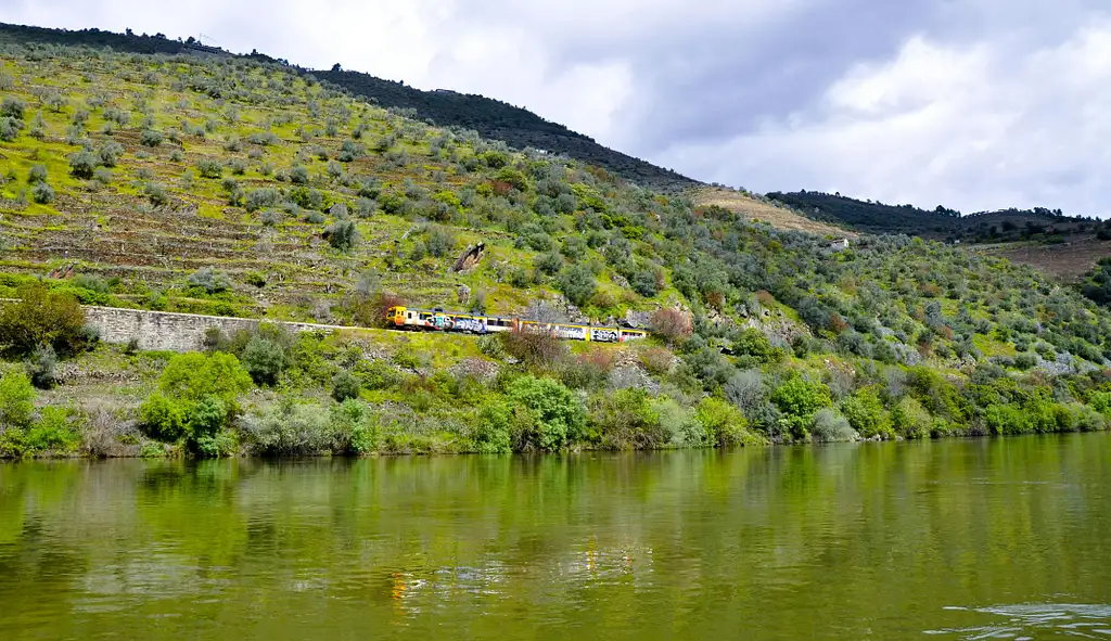 Douro Valley Tour | Wine tasting, Lunch and River Cruise
