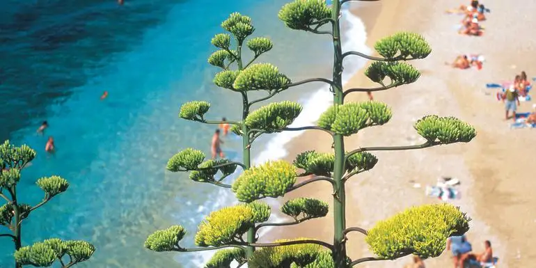 14 Days The Dalmatian Coast: Croatia, Corfu & Medieval Cities | G Adventures 18-35's