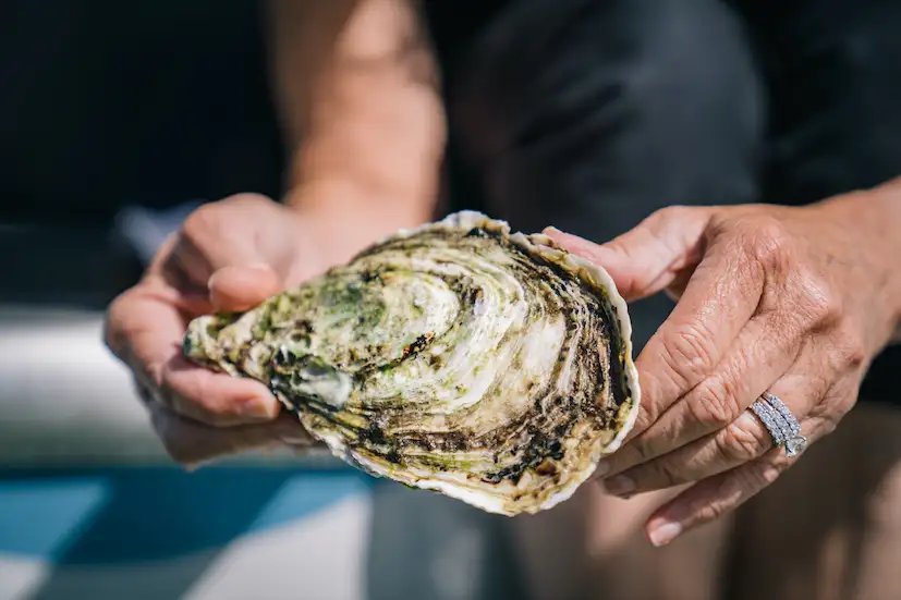 Port Lincoln & Coffin Bay Private Luxury Day Tour