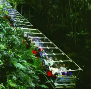 Blue Mountains Full day tour