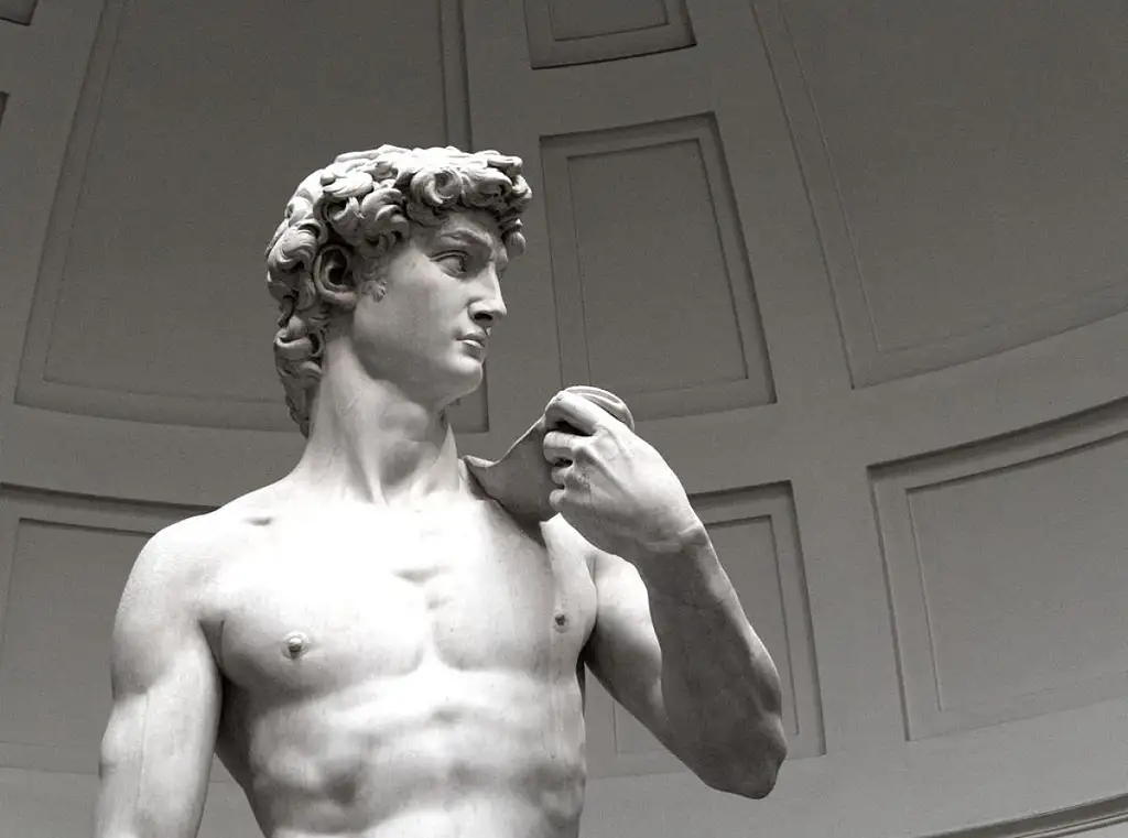 Skip the Line Accademia Gallery Guided Tour