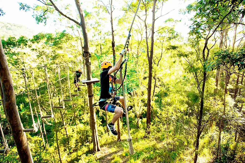 TreeTop Challenge Tambourine Mountain Adventure Park