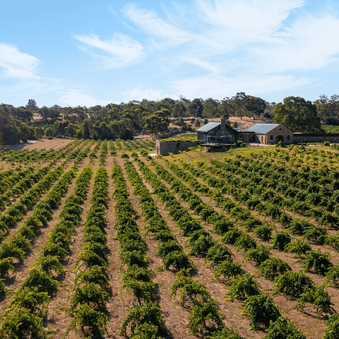 Adelaide day tours