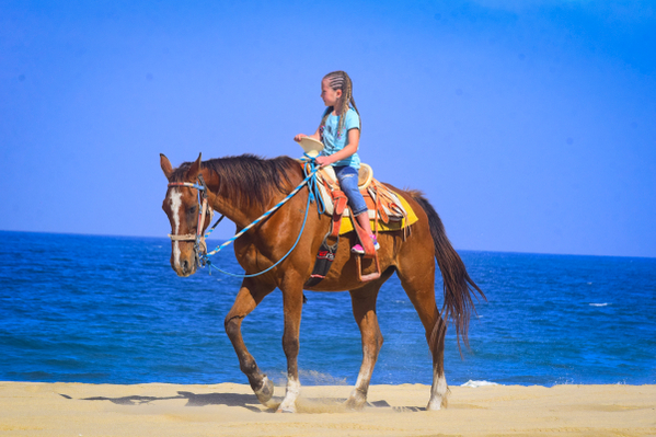 Beach horse ride tour