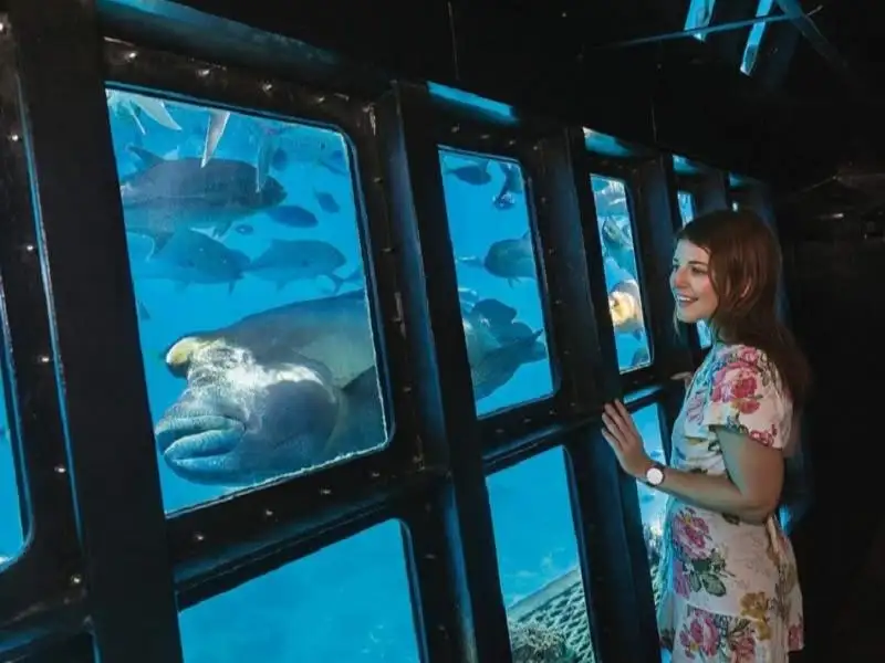 Moore Reef Day Tour