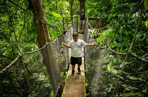 Suspension Bridge