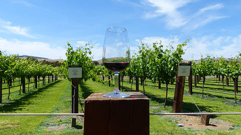 Barossa Valley Wine tour promo code