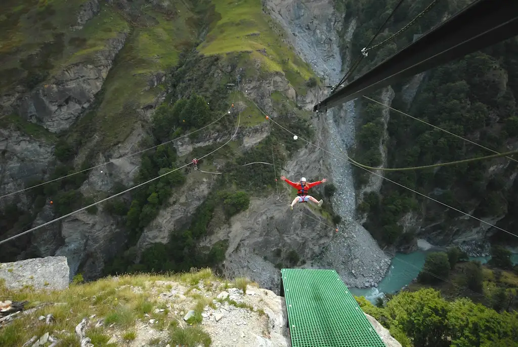 Shotover Canyon Fox