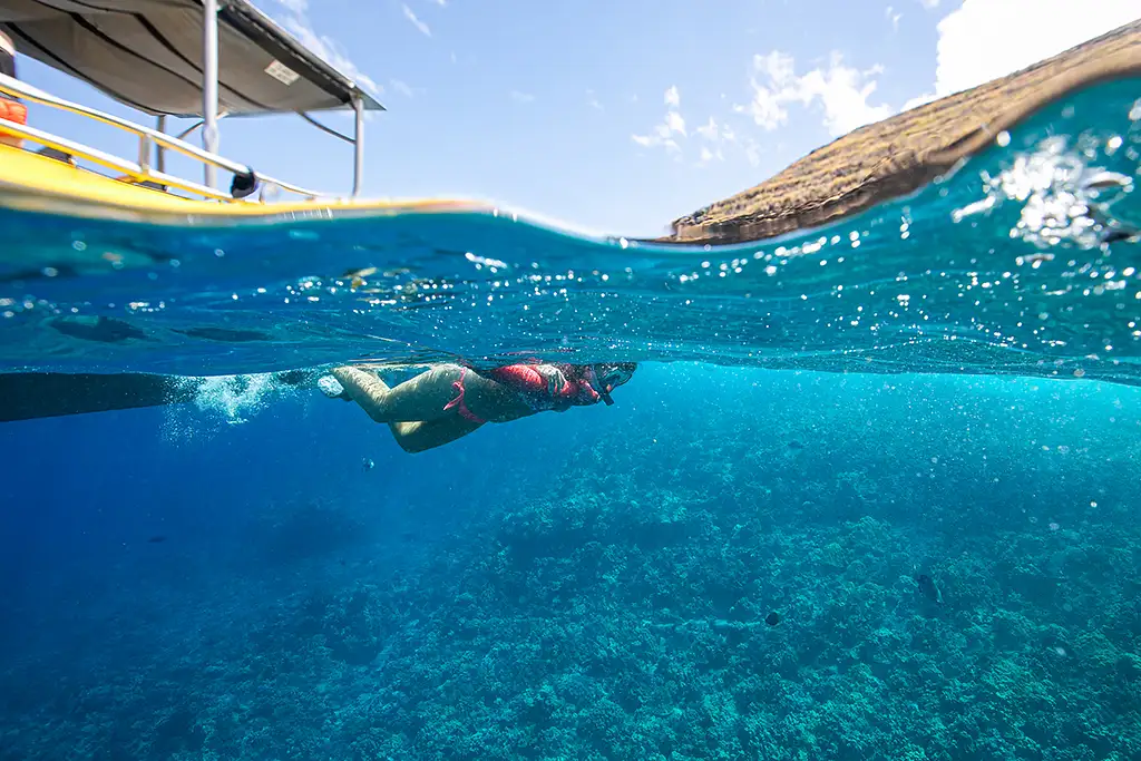 Molokini Crater & Turtle Cove Snorkel Tour