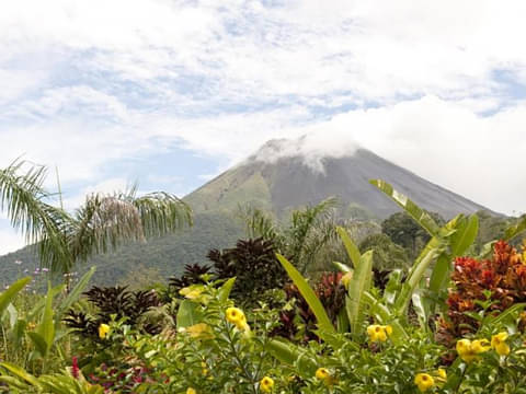 Caño Negro Wildlife Refuge Tour from Arenal