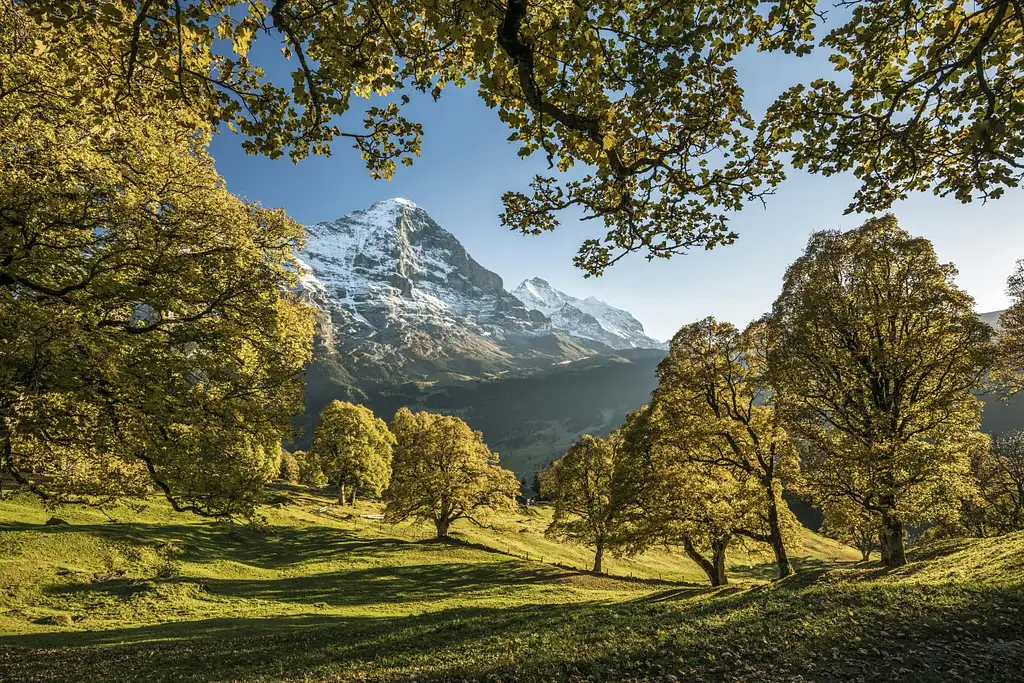 Grindelwald and Interlaken Day Trip from Zurich