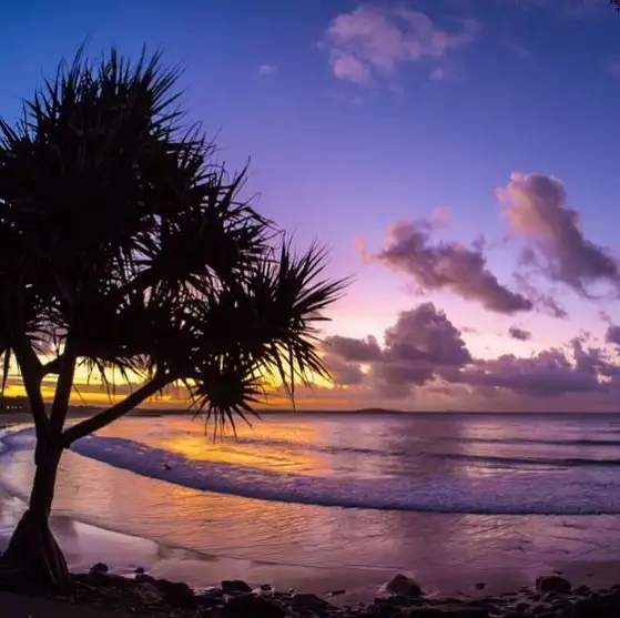 Noosa Heads Surf Lesson