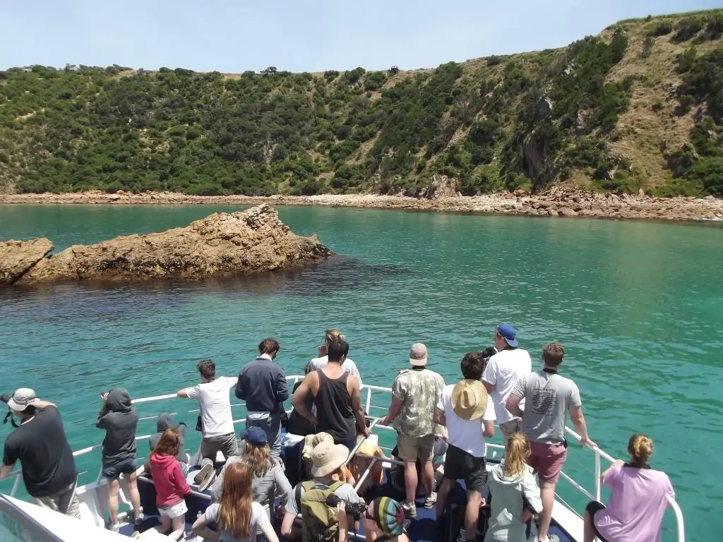 Cape Woolamai Cruise
